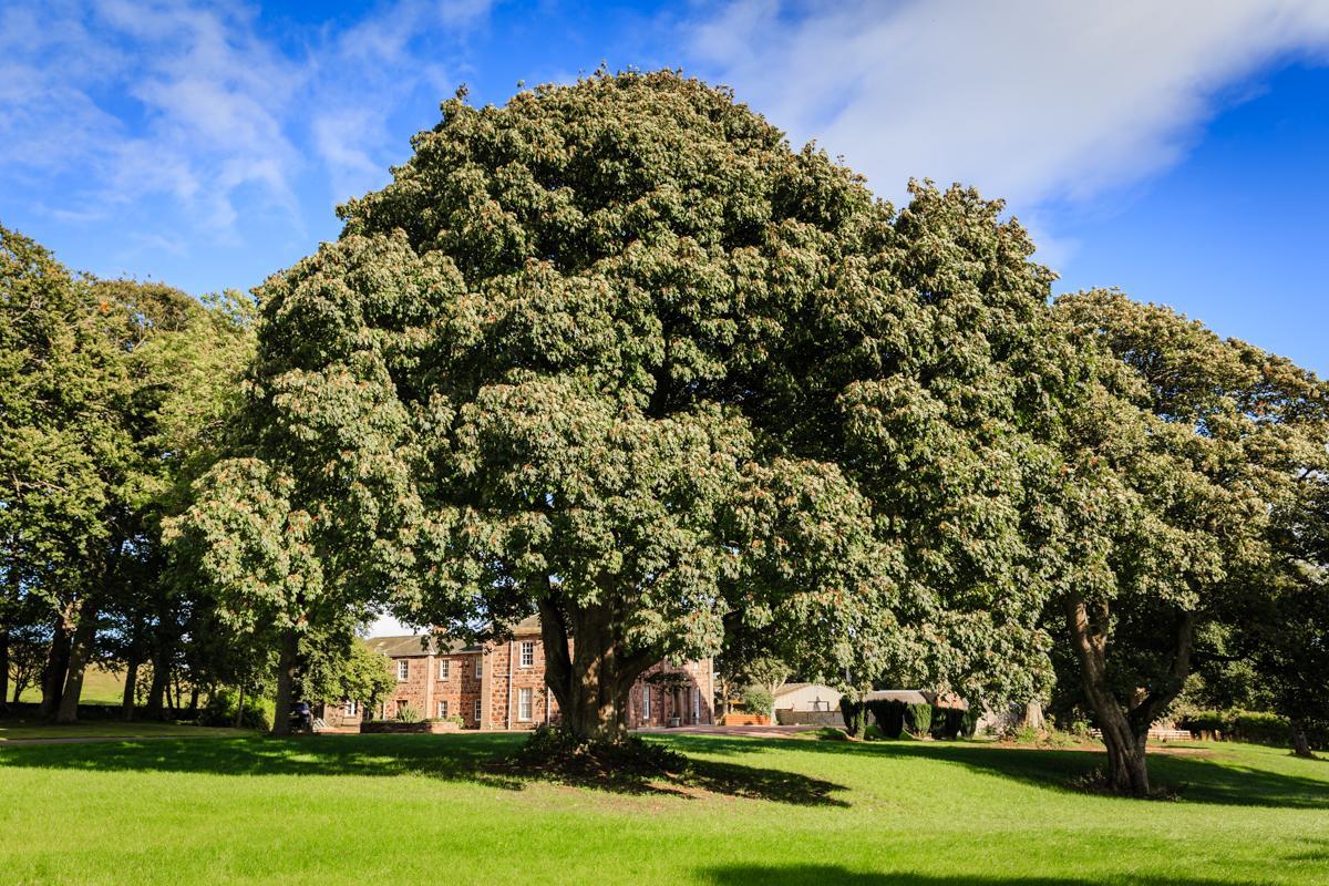 Lunan House Hotel Arbroath Kültér fotó